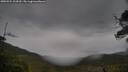 ./images/calvert/fitz-hugh-hecate/20250524/fitz-hugh-hecate20250524_104510M.jpg