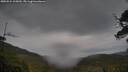 ./images/calvert/fitz-hugh-hecate/20250524/fitz-hugh-hecate20250524_105009M.jpg