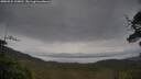 ./images/calvert/fitz-hugh-hecate/20250524/fitz-hugh-hecate20250524_110011M.jpg
