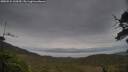 ./images/calvert/fitz-hugh-hecate/20250524/fitz-hugh-hecate20250524_110510M.jpg