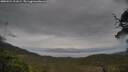 ./images/calvert/fitz-hugh-hecate/20250524/fitz-hugh-hecate20250524_111009M.jpg