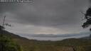 ./images/calvert/fitz-hugh-hecate/20250524/fitz-hugh-hecate20250524_111508M.jpg