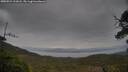 ./images/calvert/fitz-hugh-hecate/20250524/fitz-hugh-hecate20250524_112008M.jpg