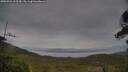 ./images/calvert/fitz-hugh-hecate/20250524/fitz-hugh-hecate20250524_112510M.jpg