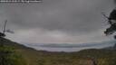 ./images/calvert/fitz-hugh-hecate/20250524/fitz-hugh-hecate20250524_113509M.jpg