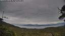 ./images/calvert/fitz-hugh-hecate/20250524/fitz-hugh-hecate20250524_114510M.jpg
