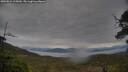./images/calvert/fitz-hugh-hecate/20250524/fitz-hugh-hecate20250524_115010M.jpg