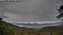 ./images/calvert/fitz-hugh-hecate/20250524/fitz-hugh-hecate20250524_115510M.jpg