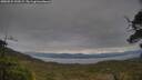 ./images/calvert/fitz-hugh-hecate/20250524/fitz-hugh-hecate20250524_120509M.jpg