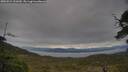 ./images/calvert/fitz-hugh-hecate/20250524/fitz-hugh-hecate20250524_121010M.jpg
