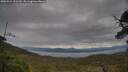 ./images/calvert/fitz-hugh-hecate/20250524/fitz-hugh-hecate20250524_121510M.jpg