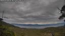 ./images/calvert/fitz-hugh-hecate/20250524/fitz-hugh-hecate20250524_122508M.jpg