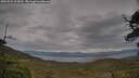 ./images/calvert/fitz-hugh-hecate/20250524/fitz-hugh-hecate20250524_123011M.jpg