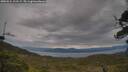 ./images/calvert/fitz-hugh-hecate/20250524/fitz-hugh-hecate20250524_123509M.jpg