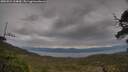 ./images/calvert/fitz-hugh-hecate/20250524/fitz-hugh-hecate20250524_124009M.jpg