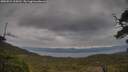 ./images/calvert/fitz-hugh-hecate/20250524/fitz-hugh-hecate20250524_124510M.jpg