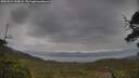 ./images/calvert/fitz-hugh-hecate/20250524/fitz-hugh-hecate20250524_125008M.jpg