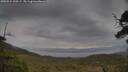 ./images/calvert/fitz-hugh-hecate/20250524/fitz-hugh-hecate20250524_125506M.jpg