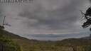 ./images/calvert/fitz-hugh-hecate/20250524/fitz-hugh-hecate20250524_130510M.jpg