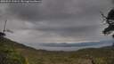./images/calvert/fitz-hugh-hecate/20250524/fitz-hugh-hecate20250524_131008M.jpg