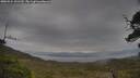 ./images/calvert/fitz-hugh-hecate/20250524/fitz-hugh-hecate20250524_131509M.jpg