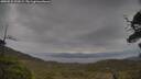 ./images/calvert/fitz-hugh-hecate/20250524/fitz-hugh-hecate20250524_132009M.jpg