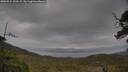 ./images/calvert/fitz-hugh-hecate/20250524/fitz-hugh-hecate20250524_132509M.jpg