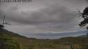 ./images/calvert/fitz-hugh-hecate/20250524/fitz-hugh-hecate20250524_133010M.jpg
