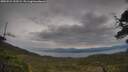 ./images/calvert/fitz-hugh-hecate/20250524/fitz-hugh-hecate20250524_133509M.jpg