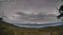 ./images/calvert/fitz-hugh-hecate/20250524/fitz-hugh-hecate20250524_134010M.jpg