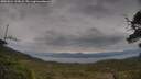 ./images/calvert/fitz-hugh-hecate/20250524/fitz-hugh-hecate20250524_135008M.jpg