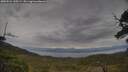./images/calvert/fitz-hugh-hecate/20250524/fitz-hugh-hecate20250524_135509M.jpg