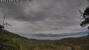 ./images/calvert/fitz-hugh-hecate/20250524/fitz-hugh-hecate20250524_140009M.jpg