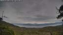 ./images/calvert/fitz-hugh-hecate/20250524/fitz-hugh-hecate20250524_141009M.jpg