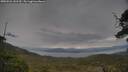 ./images/calvert/fitz-hugh-hecate/20250524/fitz-hugh-hecate20250524_141509M.jpg