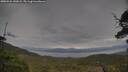 ./images/calvert/fitz-hugh-hecate/20250524/fitz-hugh-hecate20250524_142008M.jpg