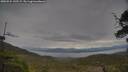 ./images/calvert/fitz-hugh-hecate/20250524/fitz-hugh-hecate20250524_142509M.jpg