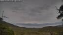 ./images/calvert/fitz-hugh-hecate/20250524/fitz-hugh-hecate20250524_143508M.jpg