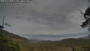 ./images/calvert/fitz-hugh-hecate/20250524/fitz-hugh-hecate20250524_144009M.jpg