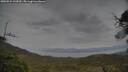 ./images/calvert/fitz-hugh-hecate/20250524/fitz-hugh-hecate20250524_144509M.jpg