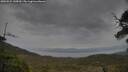 ./images/calvert/fitz-hugh-hecate/20250524/fitz-hugh-hecate20250524_145009M.jpg