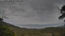 ./images/calvert/fitz-hugh-hecate/20250524/fitz-hugh-hecate20250524_145506M.jpg