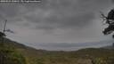 ./images/calvert/fitz-hugh-hecate/20250524/fitz-hugh-hecate20250524_150011M.jpg