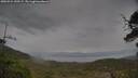 ./images/calvert/fitz-hugh-hecate/20250524/fitz-hugh-hecate20250524_150509M.jpg