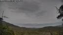 ./images/calvert/fitz-hugh-hecate/20250524/fitz-hugh-hecate20250524_151010M.jpg