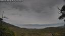 ./images/calvert/fitz-hugh-hecate/20250524/fitz-hugh-hecate20250524_152010M.jpg