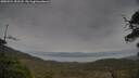 ./images/calvert/fitz-hugh-hecate/20250524/fitz-hugh-hecate20250524_152508M.jpg