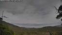 ./images/calvert/fitz-hugh-hecate/20250524/fitz-hugh-hecate20250524_153011M.jpg