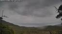 ./images/calvert/fitz-hugh-hecate/20250524/fitz-hugh-hecate20250524_154010M.jpg