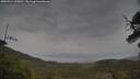 ./images/calvert/fitz-hugh-hecate/20250524/fitz-hugh-hecate20250524_155010M.jpg